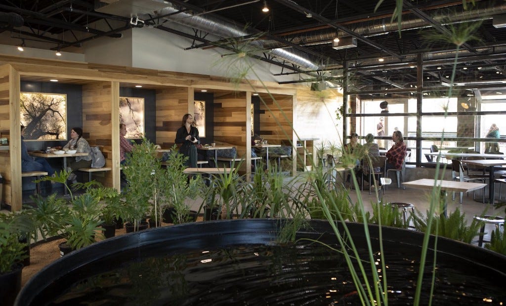 Opuntia Café’s big room and wide windows. The koi pond is in the forefront and the wooden booths are behind that.