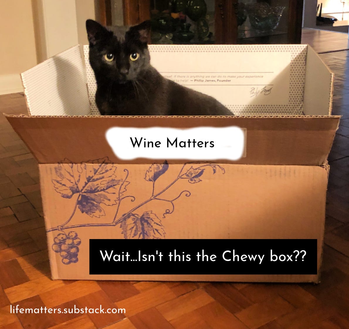 Black cat peeking out of 'Wine Matters' box with caption reading "Wait, Isn't this the Chewy box?"