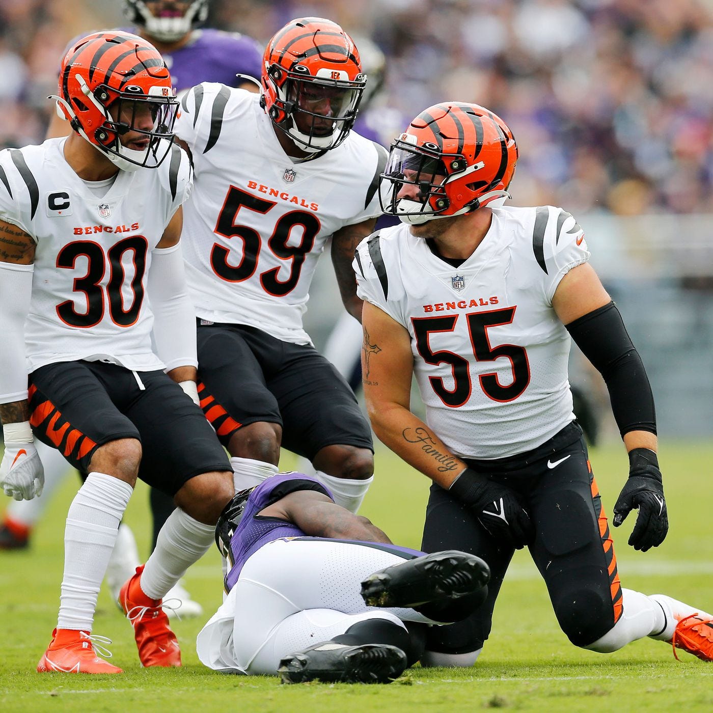 Bengals defense continues disruptive play in 24-point victory over Ravens -  Cincy Jungle