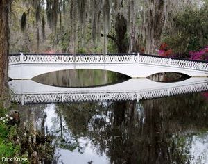 Magnolia Plantation & Gardens - Charleston SC