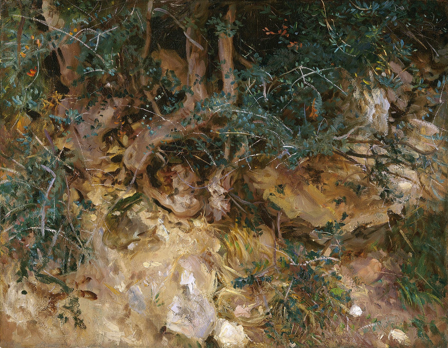 Valdemosa,Majorca – Thistles and Herbage on a Hillside (1908)