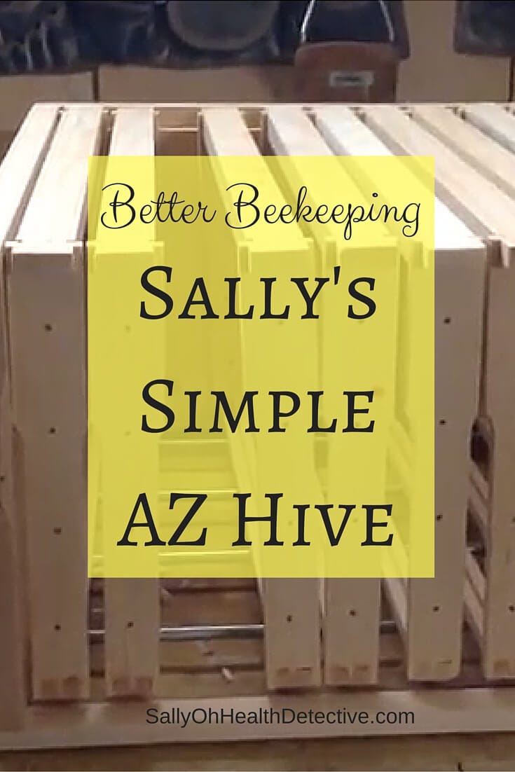 Building a better beehive: Sally's simple AZ hive! SallyOhHealthDetective.com