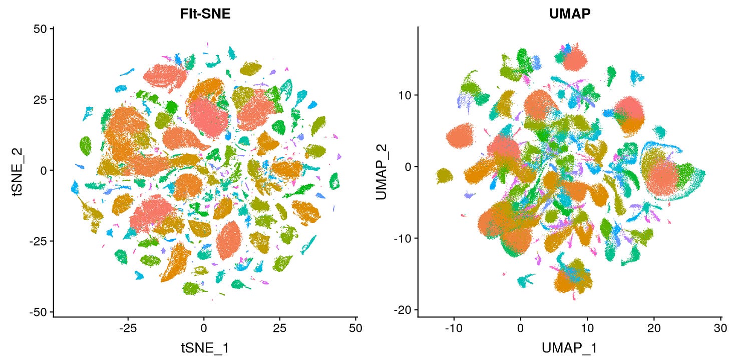 tSNE vs. UMAP: Global Structure. Why preservation of global structure ...
