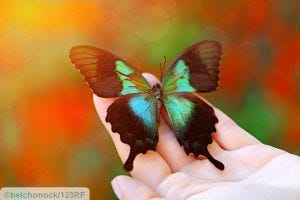 53669229 - beautiful colorful butterfly sitting on female hand, close-up - thyroid gland is like a butterfly in the anterior region of the neck