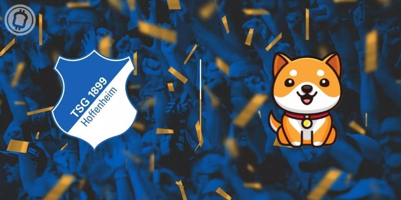 TSG Hoffenheim signs sponsorship deal with Baby Doge Coin - Syhoho.com