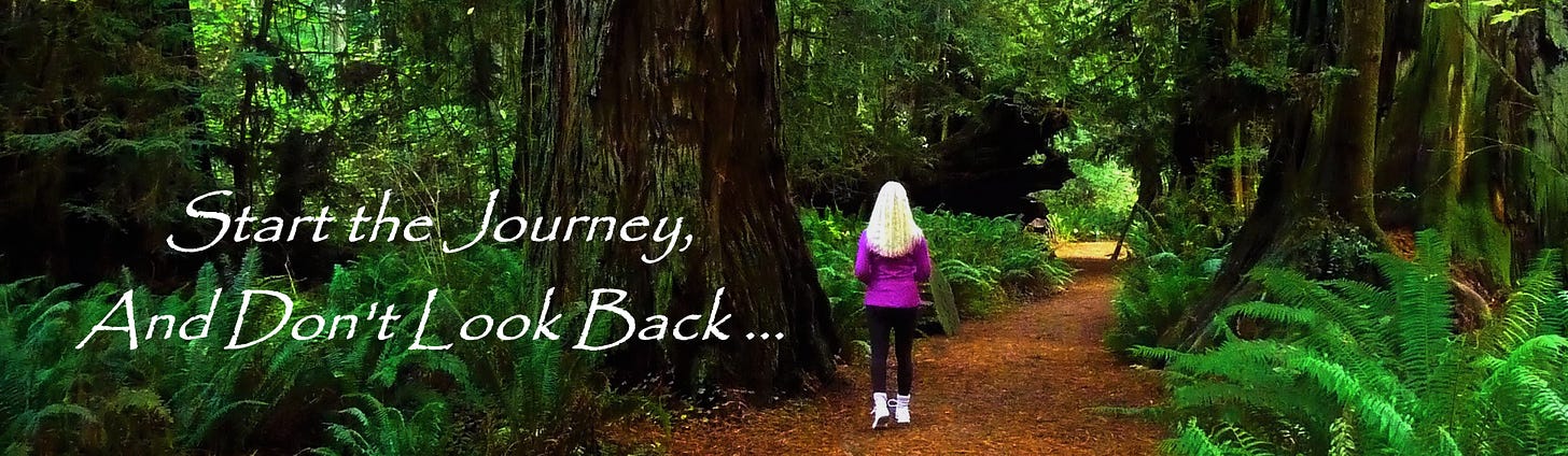 rear view of woman with long blonde hair walking through redwood forest
