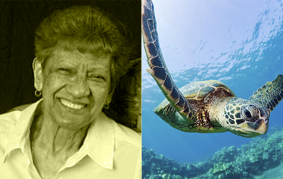 My mother and the Hawaiian Honu