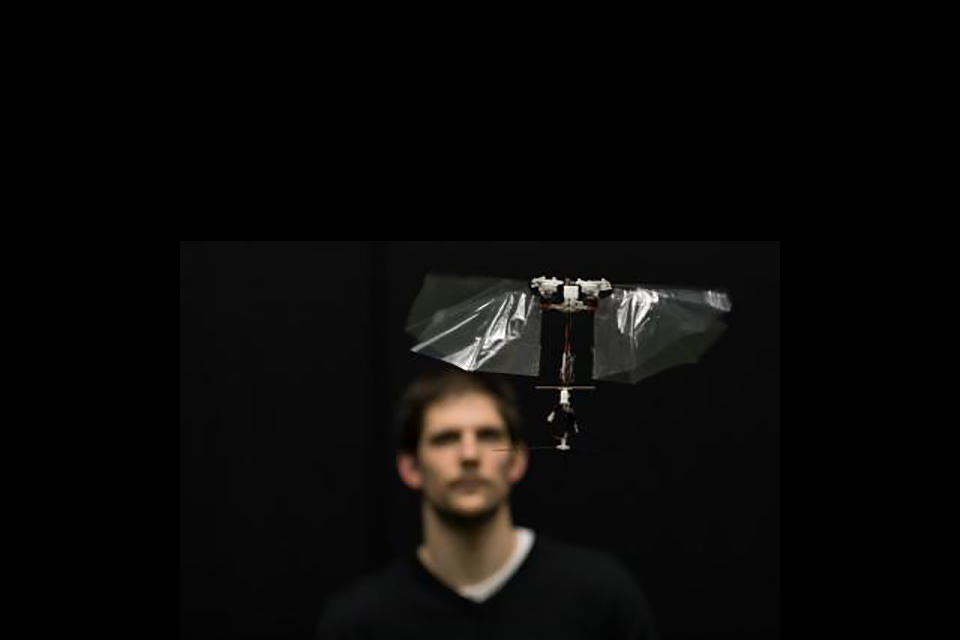 Robot with insect-like wings