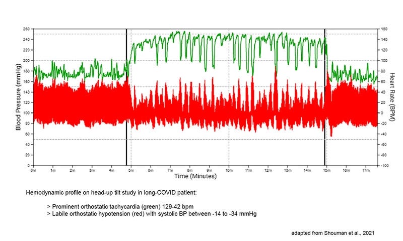 https://www.cnsystems.com/topic-events/news-blog/continuous-non-invasive-monitoring-to-detect-autonomic-dysfunction-in-long-covid/