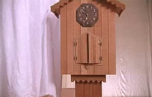 Cat in cuckoo clock