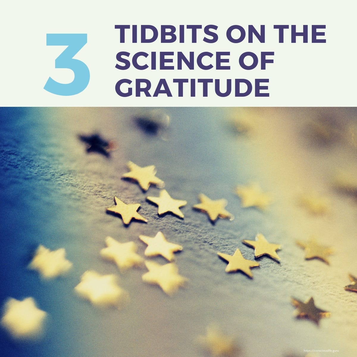 It did what? Proof Positive Studies on the Science of Gratitude 17