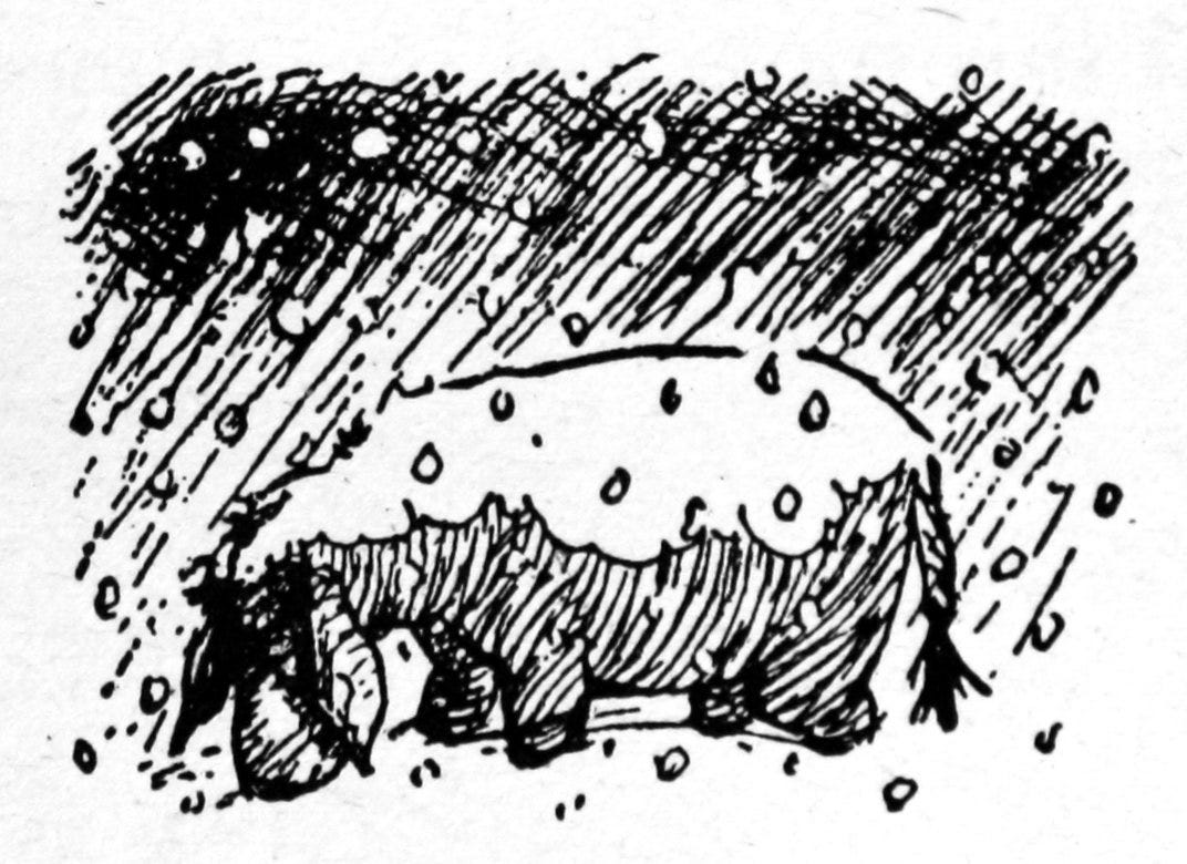Line drawing of the donkey Eeyore being pelted by falling snow