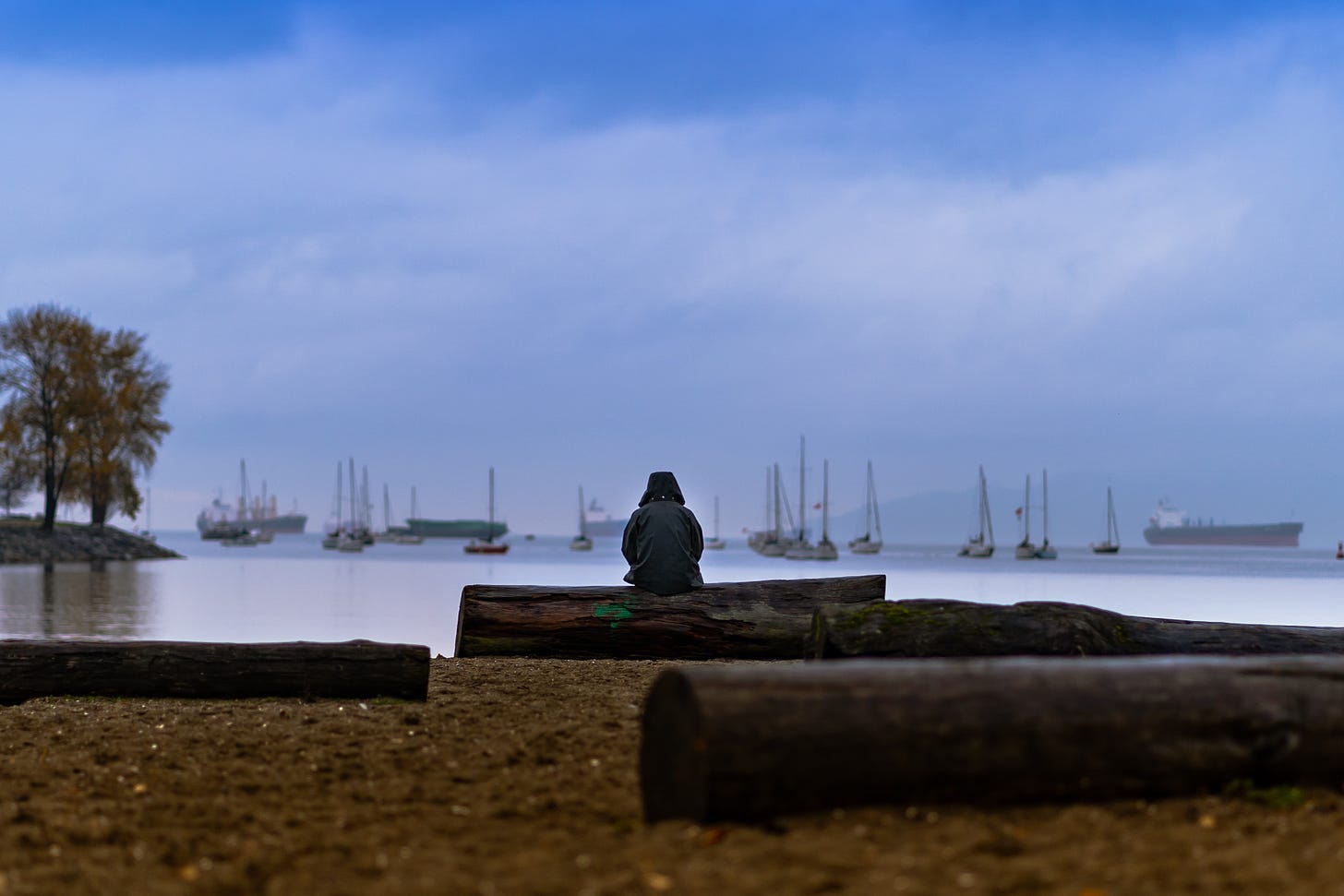 A person sitting on a wooden log looking out into a harbor.