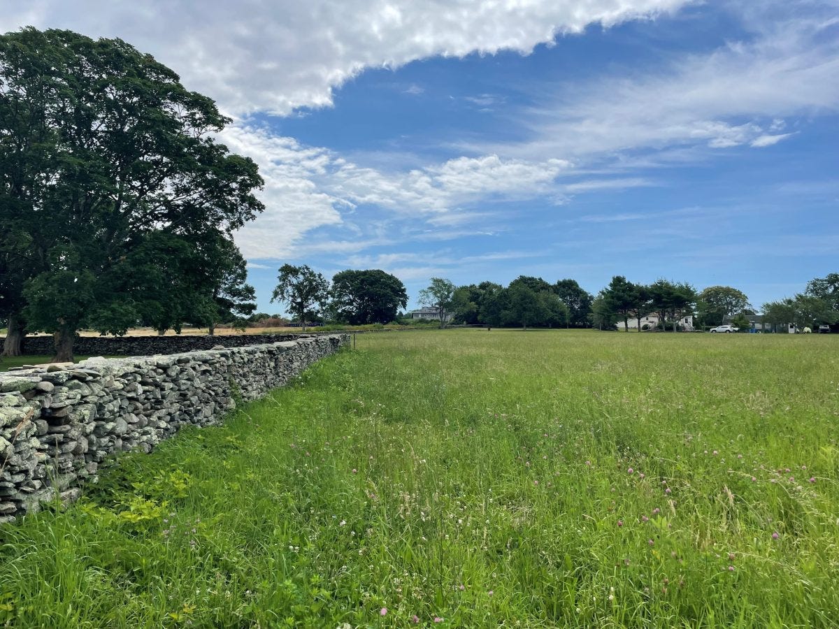 Aquidneck Land Trust conserves Middletown farmland, protecting drinking water and scenic viewscape