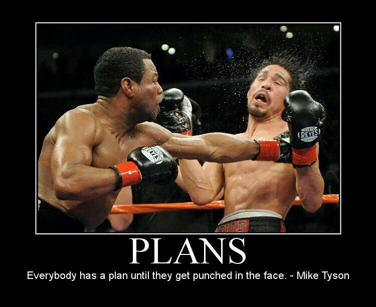 "Everybody has a plan until they get punched in the face ...