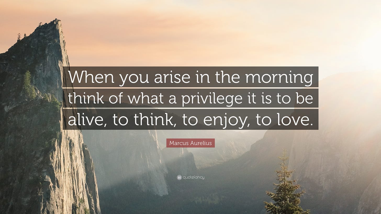 Marcus Aurelius Quote: “When you arise in the morning think of what a  privilege it is