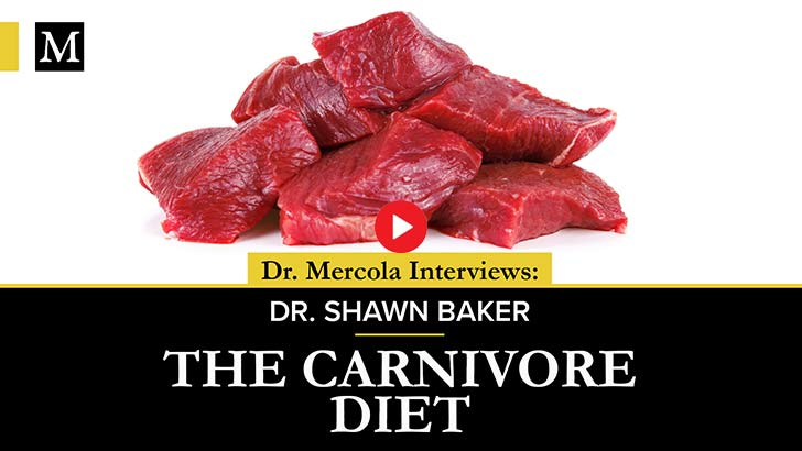 the carnivore foods