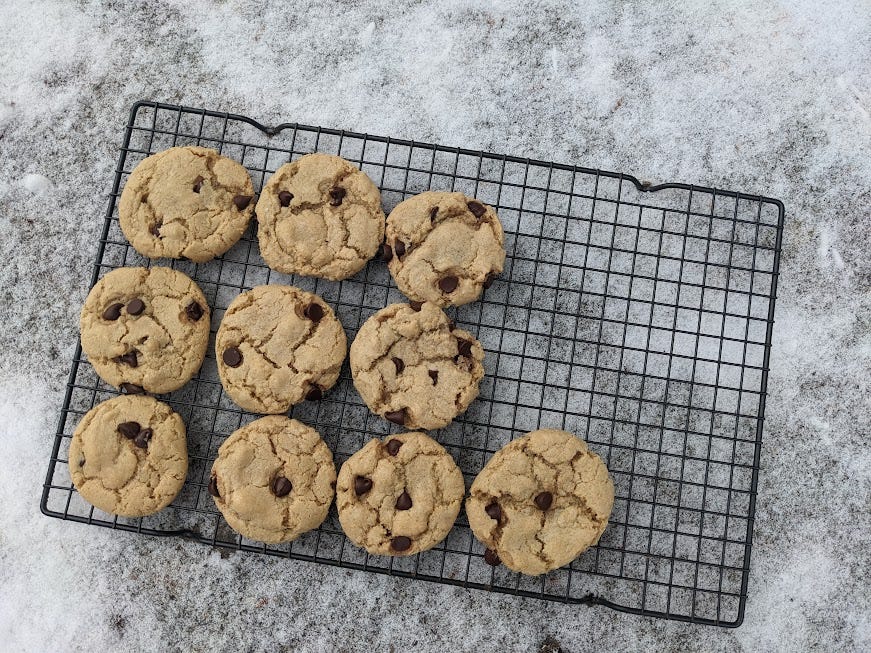cookies on a cooling rack in the snow