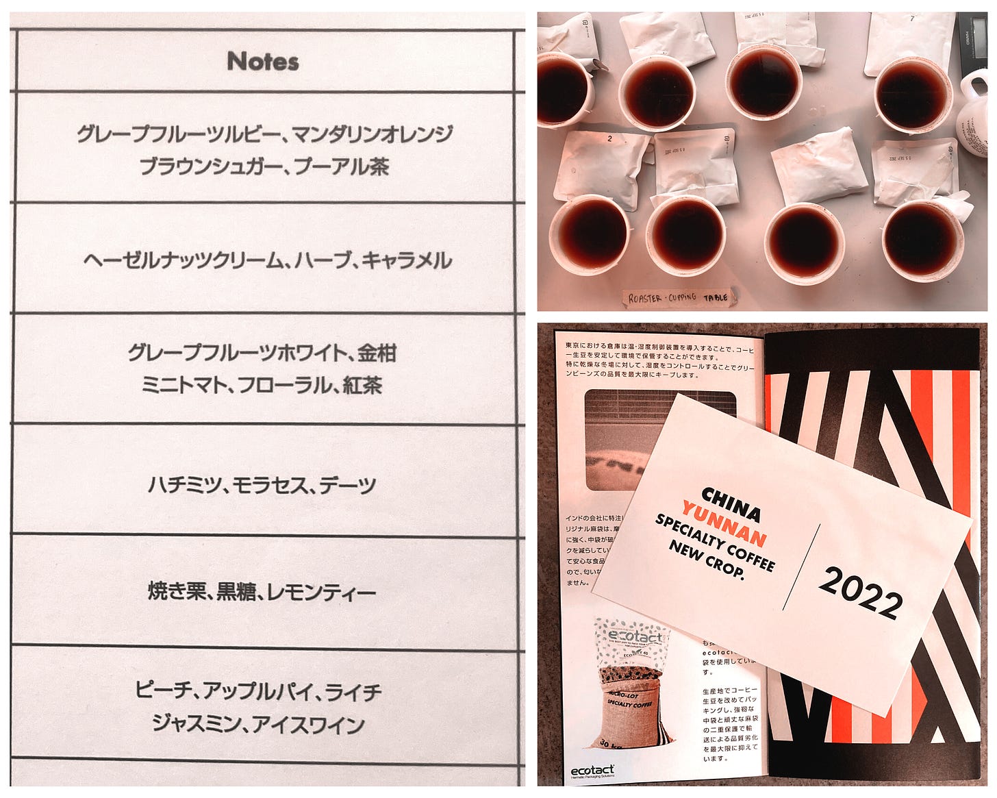 Coffee kit + cupping session
