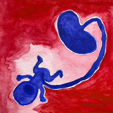 An inversion of Rainbow Squared, Year 1, 29. Blue Red to turn it into Red Blue. A watercolor painting with a blue crying baby figure attached by a cord to a placenta shape almost positioned as a speaker. The baby, cord, and placenta are all blue on top of a red painted background. 