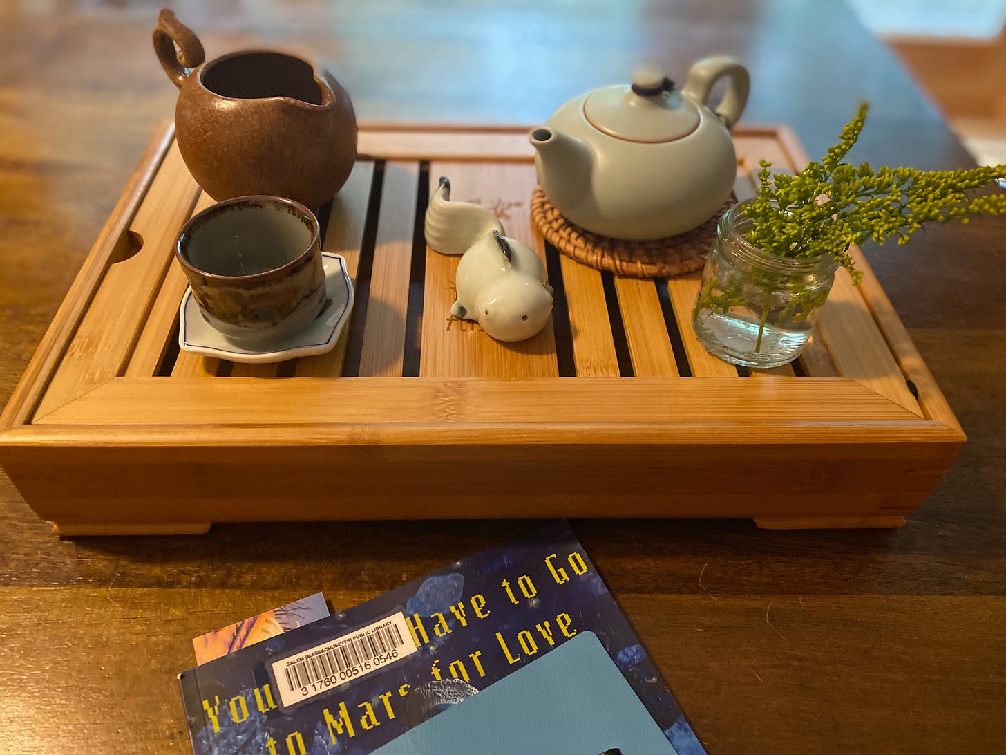 A small tea setup on a wooden bamboo tray with open slats. There’s a small ceramic tea cup, a brown ceramic pitcher, a small pale green ceramic teapot, a goldfish tea friend, and a small glass jar of goldenrod. You Don’t Have to Go to Mars for Love, a pale blue notebook, and a pen sit on the table in front of the tea.