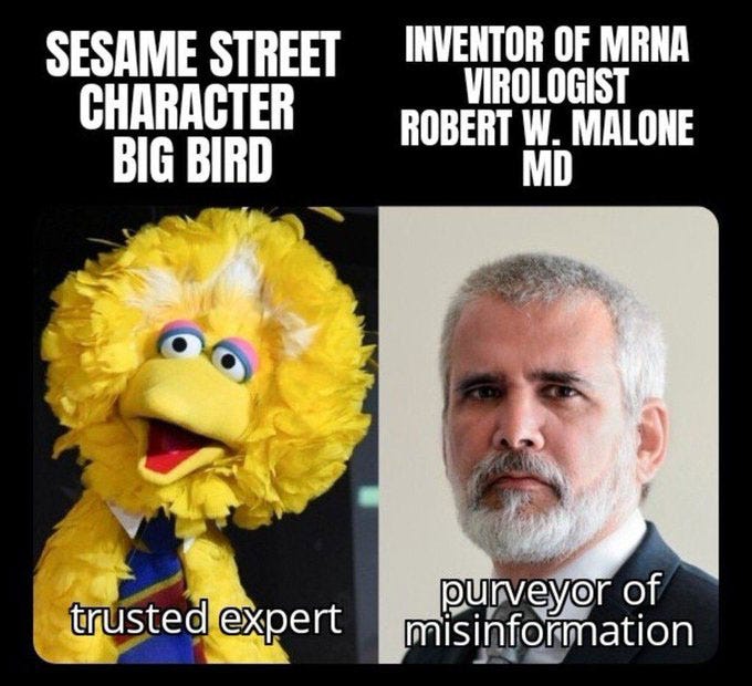 Big Bird: Trusted Expert; Inventor of mRNA Technology Robert Malone: Purveyor of Misinformation