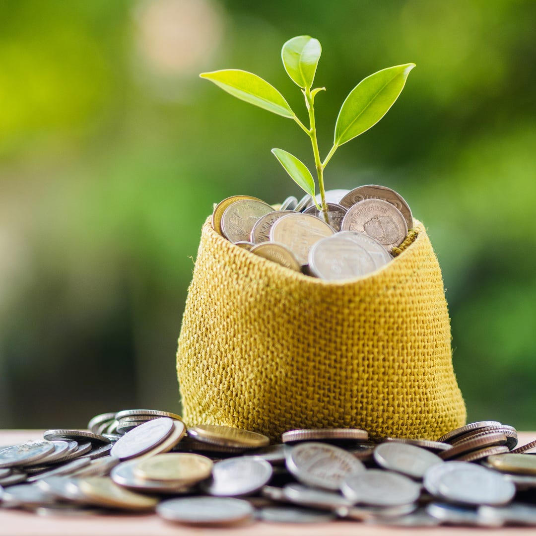 coin bag with plant growing out of it