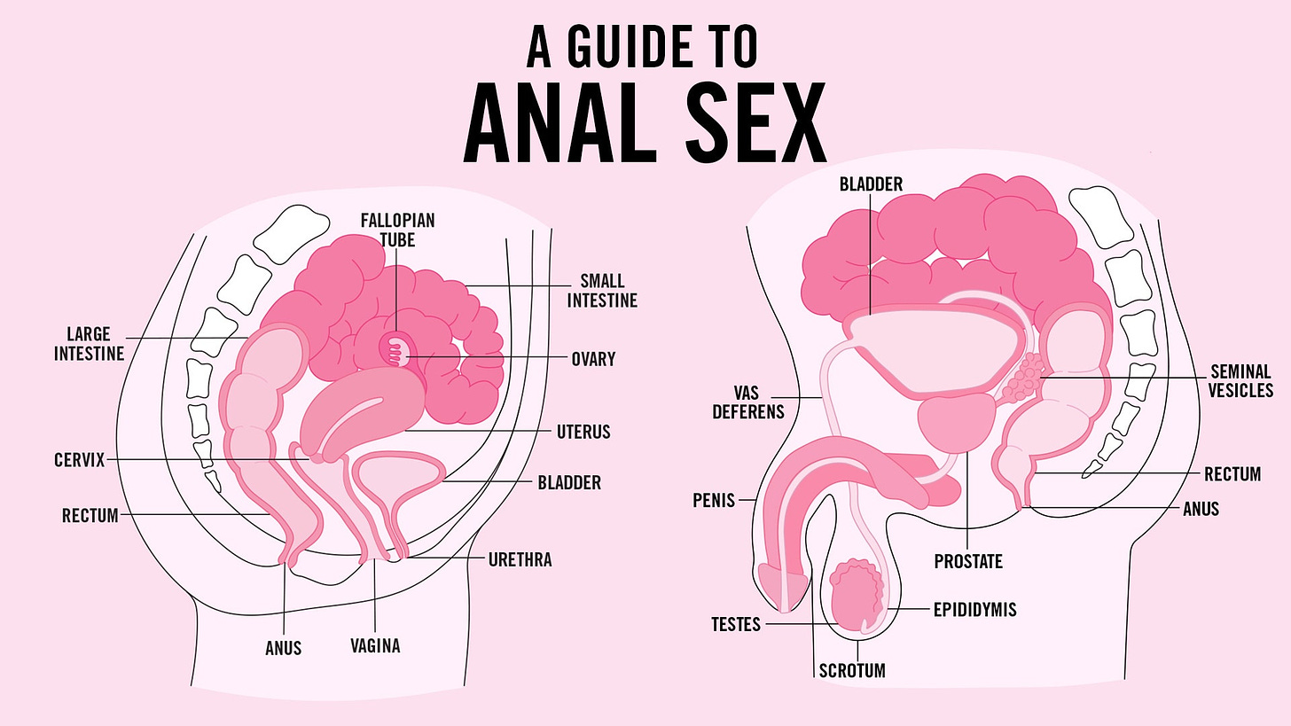 a guide to anal sex image with illustration of reproductive organs.