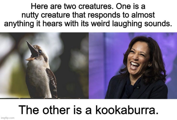 Just call her Kookaburra Harris. |  Here are two creatures. One is a nutty creature that responds to almost anything it hears with its weird laughing sounds. The other is a kookaburra. | image tagged in kookaburra,kamala harris,politics,laughing,memes,political meme | made w/ Imgflip meme maker