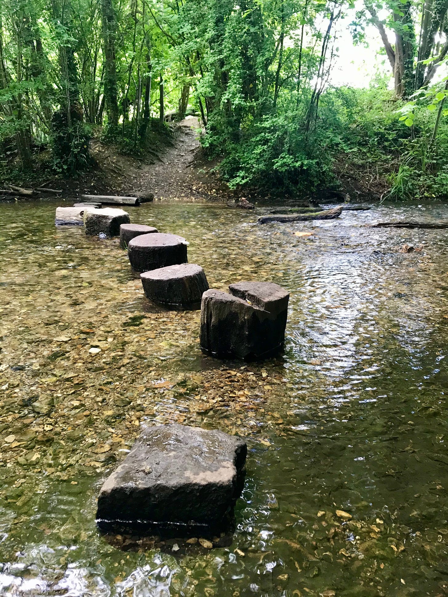 Stepping stones, a journeys edge, angela delglyn