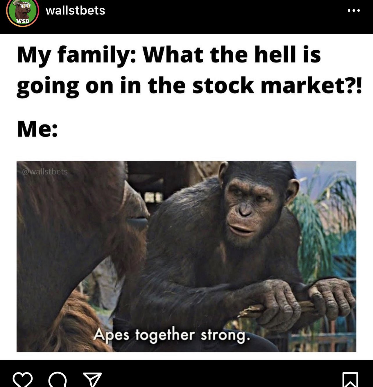 25 Memes About the r/WallStreetBets GME Situation | by Michael Macaulay |  Medium