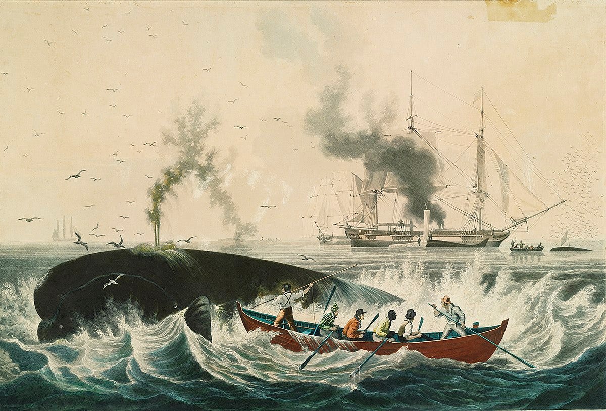 File:South Sea Whale Fishery, lithographic print painted by Garnerey,  engraved by E. Duncan, published 1835.jpg - Wikimedia Commons