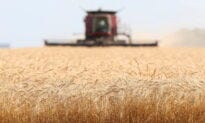 Canada’s Sustainable Agriculture Strategy Raises Concerns for Farmers