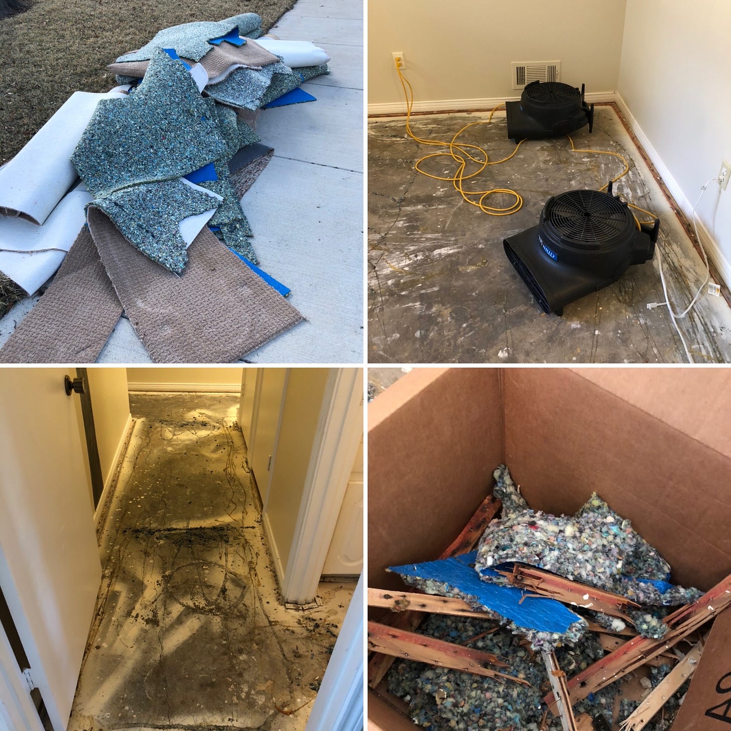 A collage of 4 pictures showing a pile of damaged carpet and padding on the sidewalk, cleaned up slab in the hallway, and industrial drying fans.