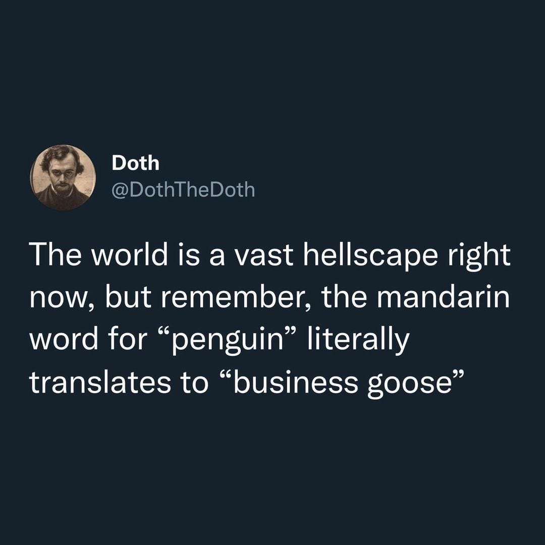 May be a Twitter screenshot of 1 person and text that says 'Doth @DothTheDoth The world is a vast hellscape right now, but remember, the mandarin word for "penguin" literally translates to "business goose"'