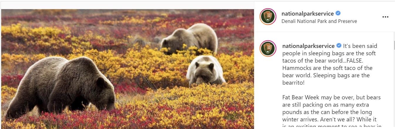 Bear Safety Tips from the National Park Service on Instagram