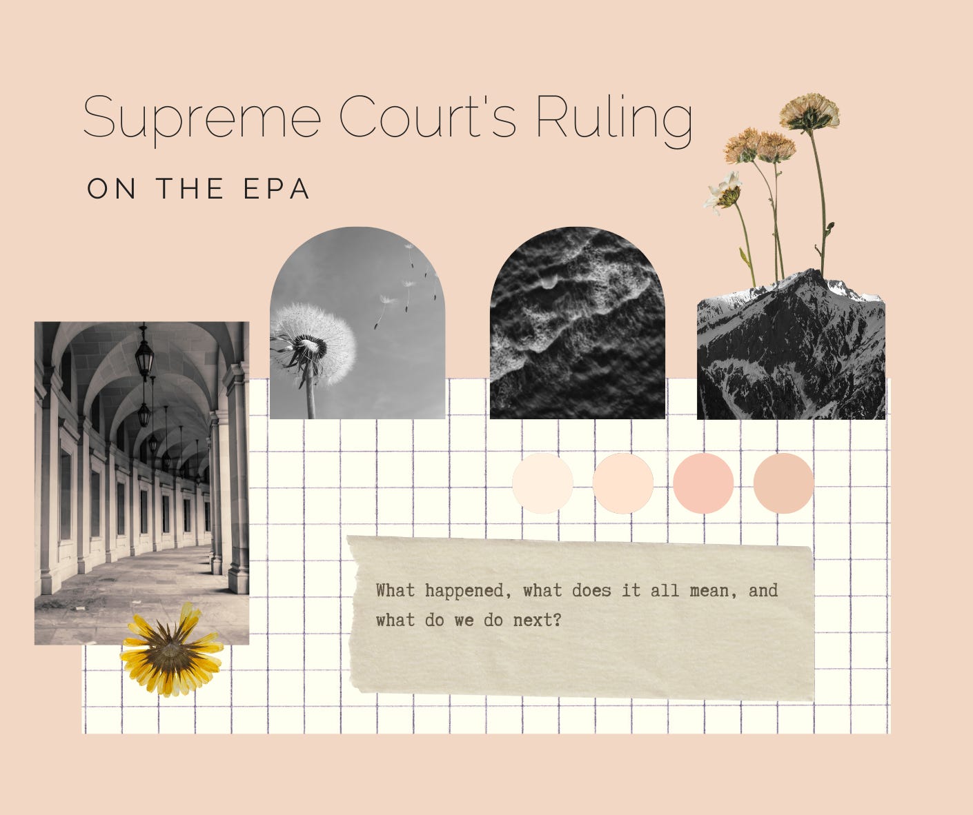 Supreme Court's Ruling on the EPA. What happened and what can we do next?