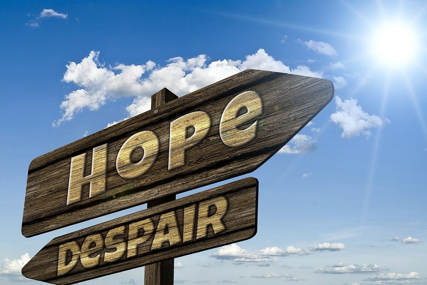 brown wooden arrow with "hope" in gold letters on signpost above "despair" arrow pointing the other way