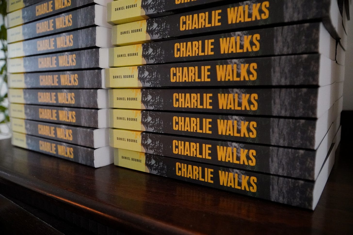 A stack of 20 or so books on top of each other with the title Charlie Walks and the author Daniel Bourke