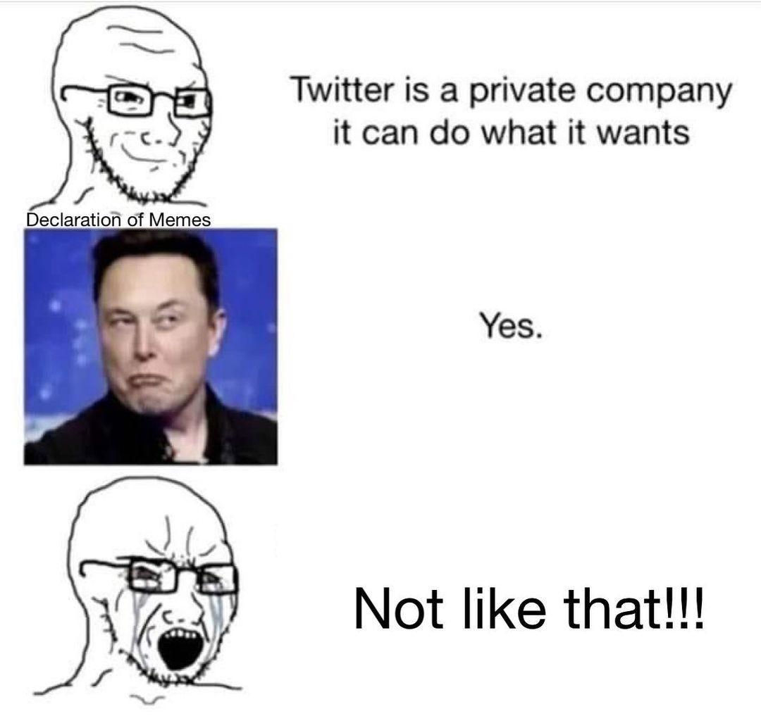 May be a meme of 1 person and text that says 'Twitter is a private company it can do what it wants Declaration of Memes Yes. Not like that!!!'