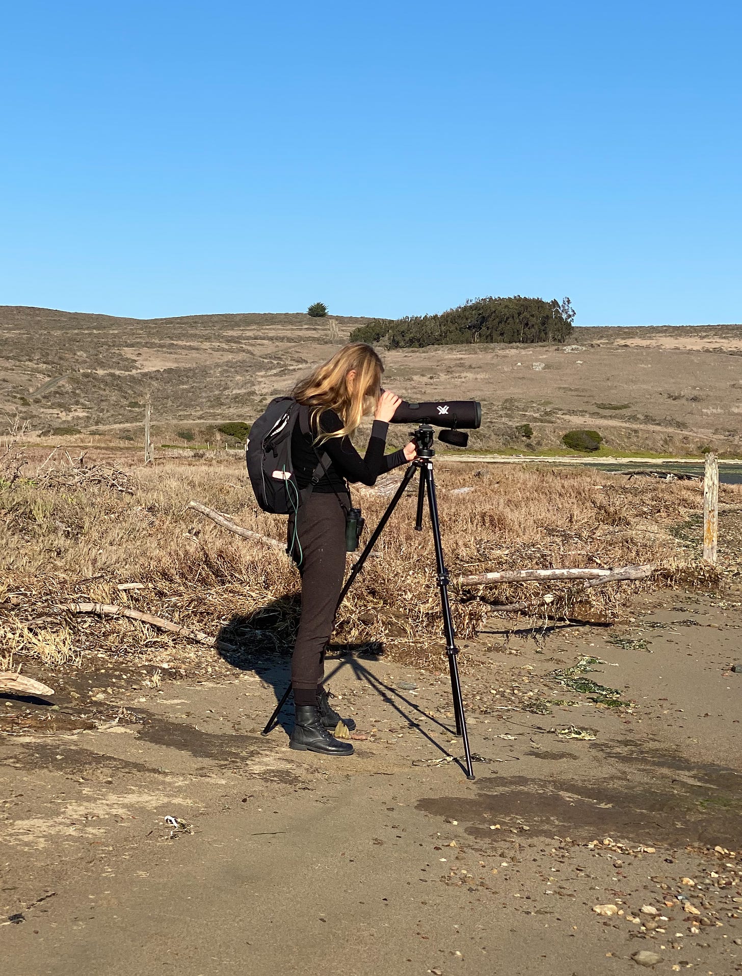 A woman looks through a spotting scope while identifying birds.