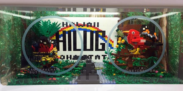 HILUG LEGO Store Display