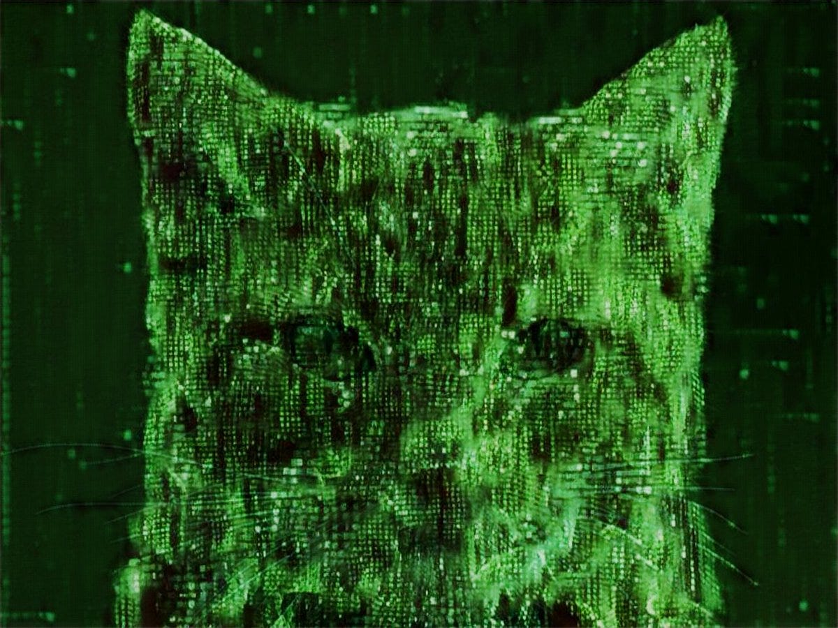 Alex J. Champandard on Twitter: "Here's Matrix cat again, now looking  better. Uses semantic map for background effect, took ages to tweak though  :-| https://t.co/cLDMNlfAa4" / Twitter