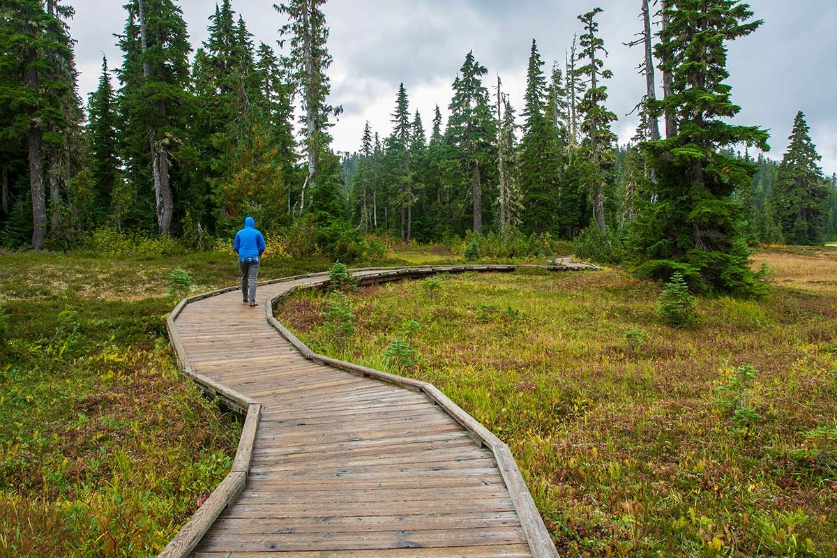 walking along a winding boardwalk at the edge of forest and meadow