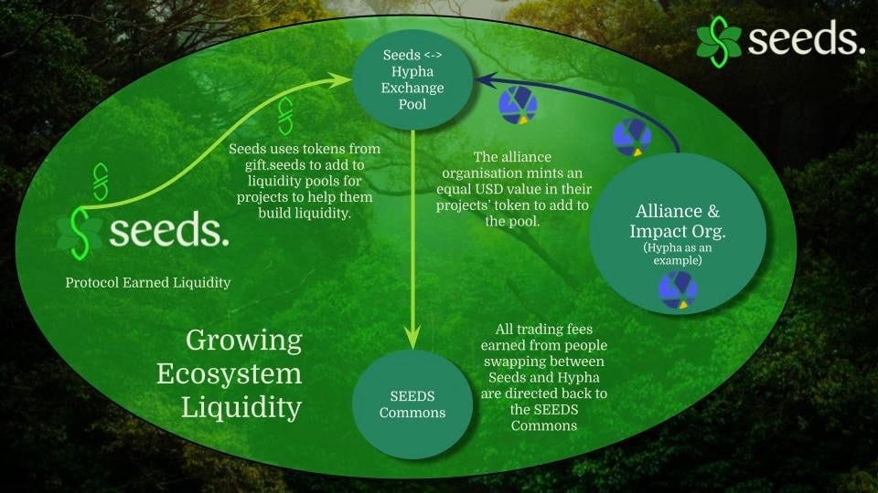 May be an image of tree and text that says "Seeds <-> Hypha Exchange Pool seeds. Seeds uses tokens from gift.seeds add to liquidity pools tor projects to them seeds. build liquidity. The'alliance organisation mints an equal USD value their projects' token to add to the pool. Protocol Earned Liquidity Alliance & Impact Org. (Hypha san example) Growing Ecosystem Liquidity trading fees earned from people swapping between Seeds and Hypha are directed back to the SEEDS Commons SEEDS Commons"