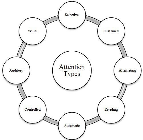 graphical representation of types of attention: Visual, auditory, controlled, automatic, dividing, alternating, sustatined, selective