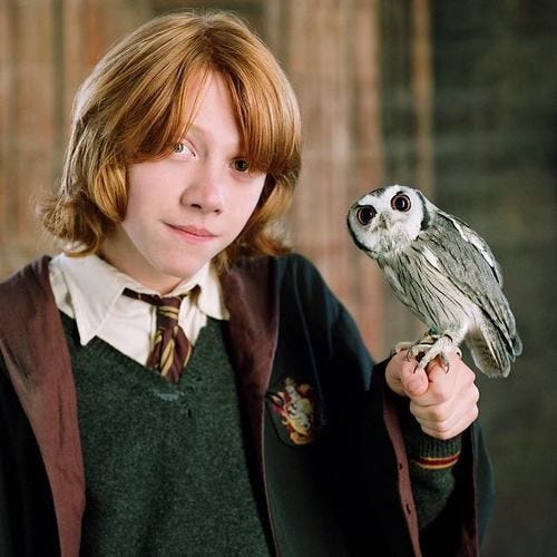 Ron's pet owl, Pigwidgeon, in Harry Potter was a Tawny Owl. #animalfacts  #interestingfacts #birds #c… | Harry potter, Ron weasley aesthetic, Harry  potter characters