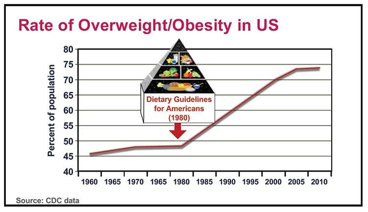 graph of dietary guidelines and obesity