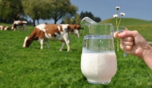 learn about raw milk and kefir at the next WAPf chapter meeting