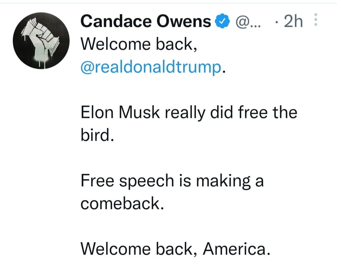 May be a Twitter screenshot of text that says 'Candace Owens Welcome back, @realdonaldtrump. @....2h @... ・2h Elon Musk really did free the bird. Free speech is making a comeback. Welcome back, America.'